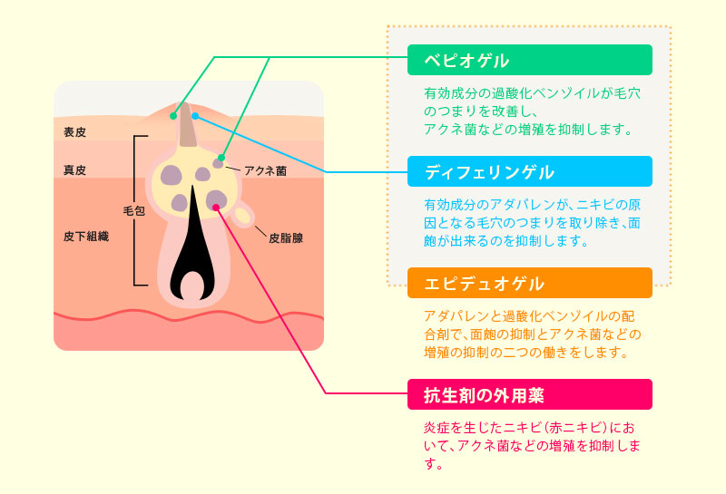 薬の働き